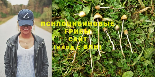кокс Белоозёрский