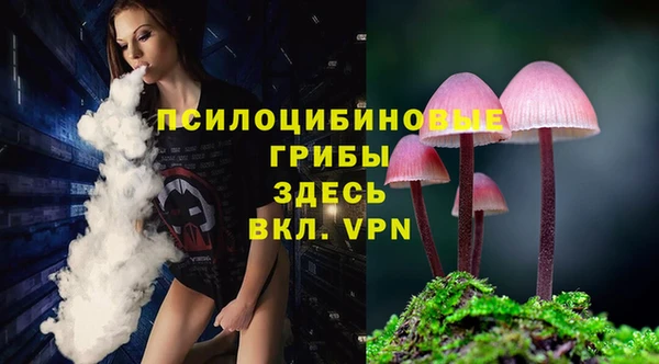 а пвп мука Белокуриха
