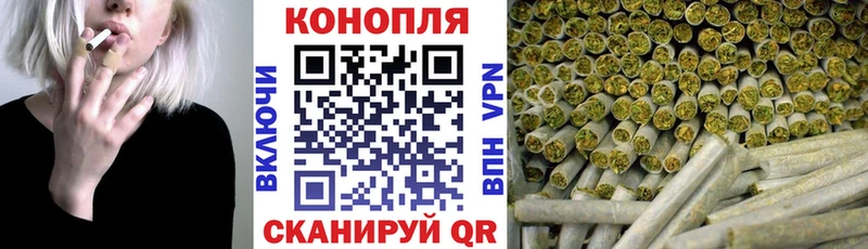 Купить  Менделеевск  Канабис ГИДРОПОН 